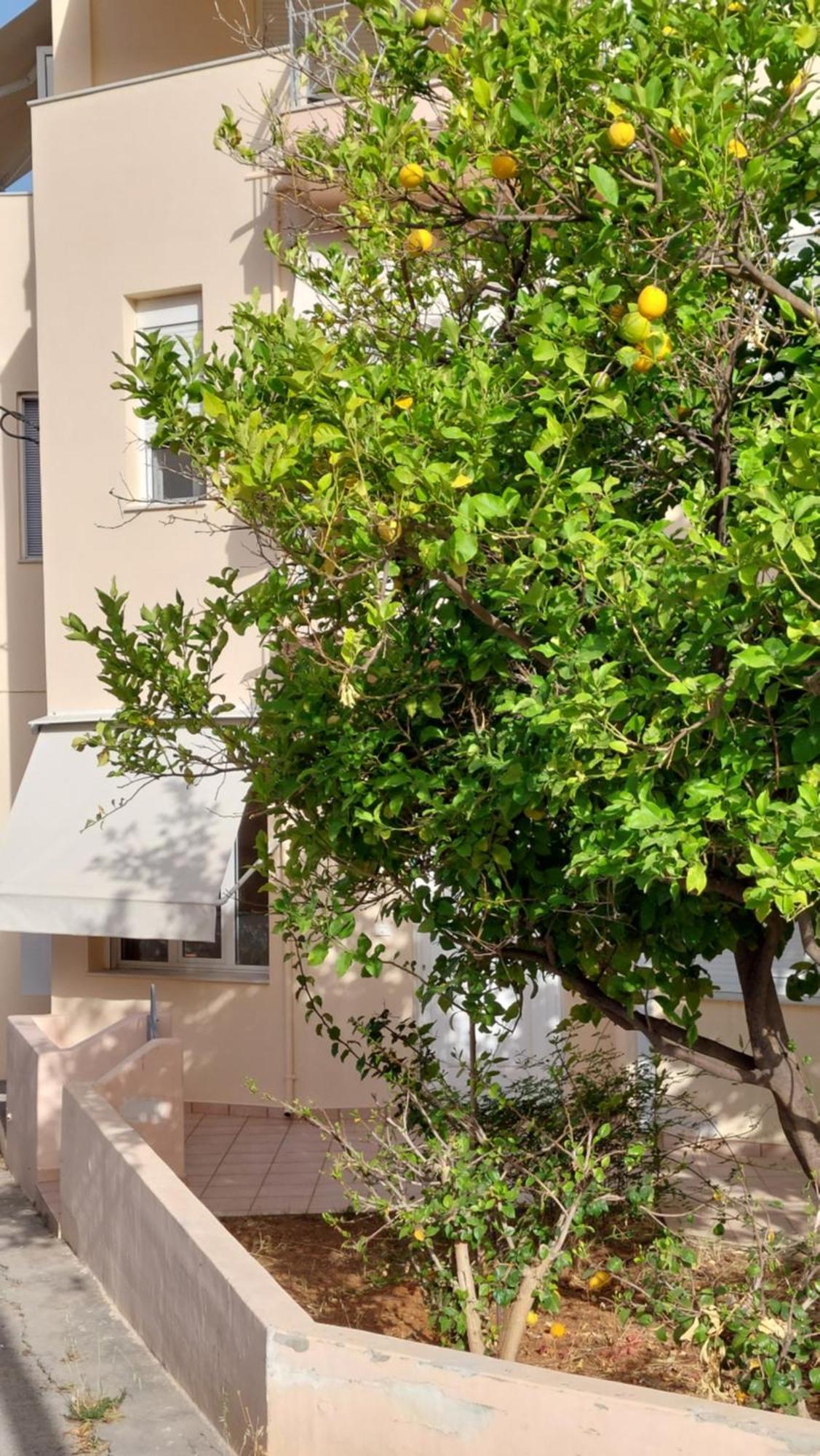 Sunbeam Retreat Villa Chania  Buitenkant foto